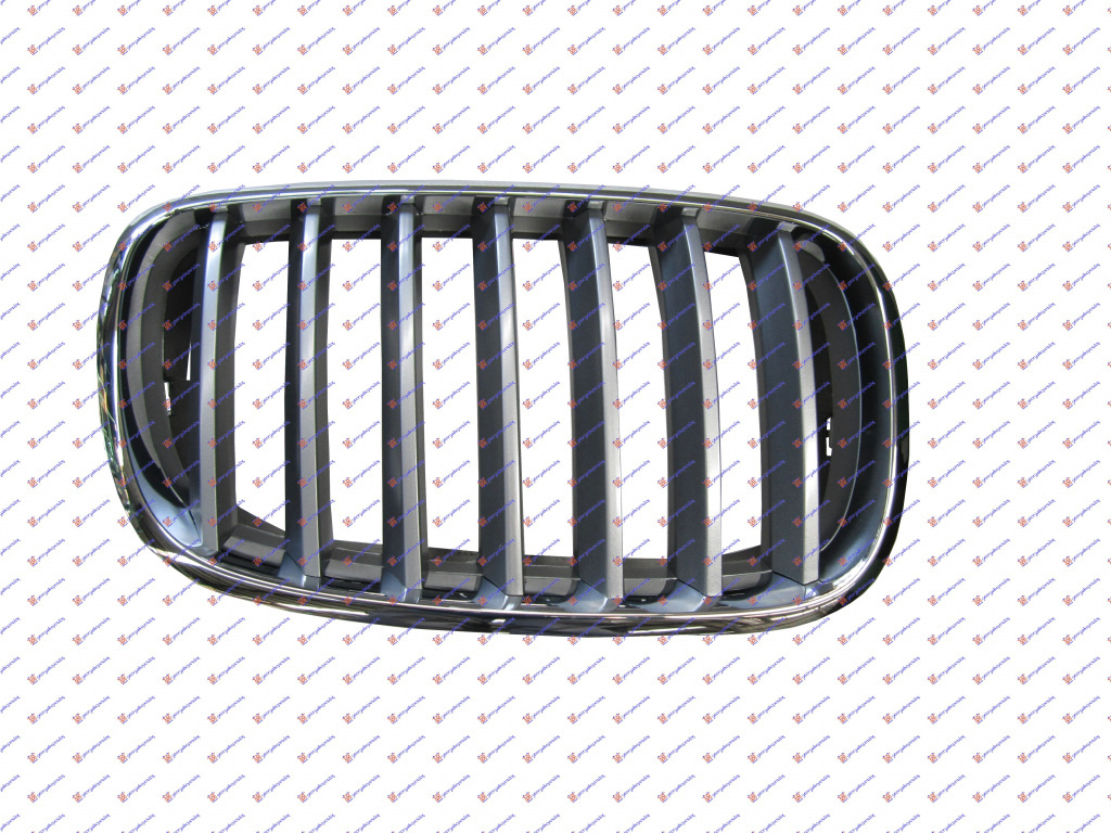 Grila - Bmw X5 (E70) 2007 , 51137185224