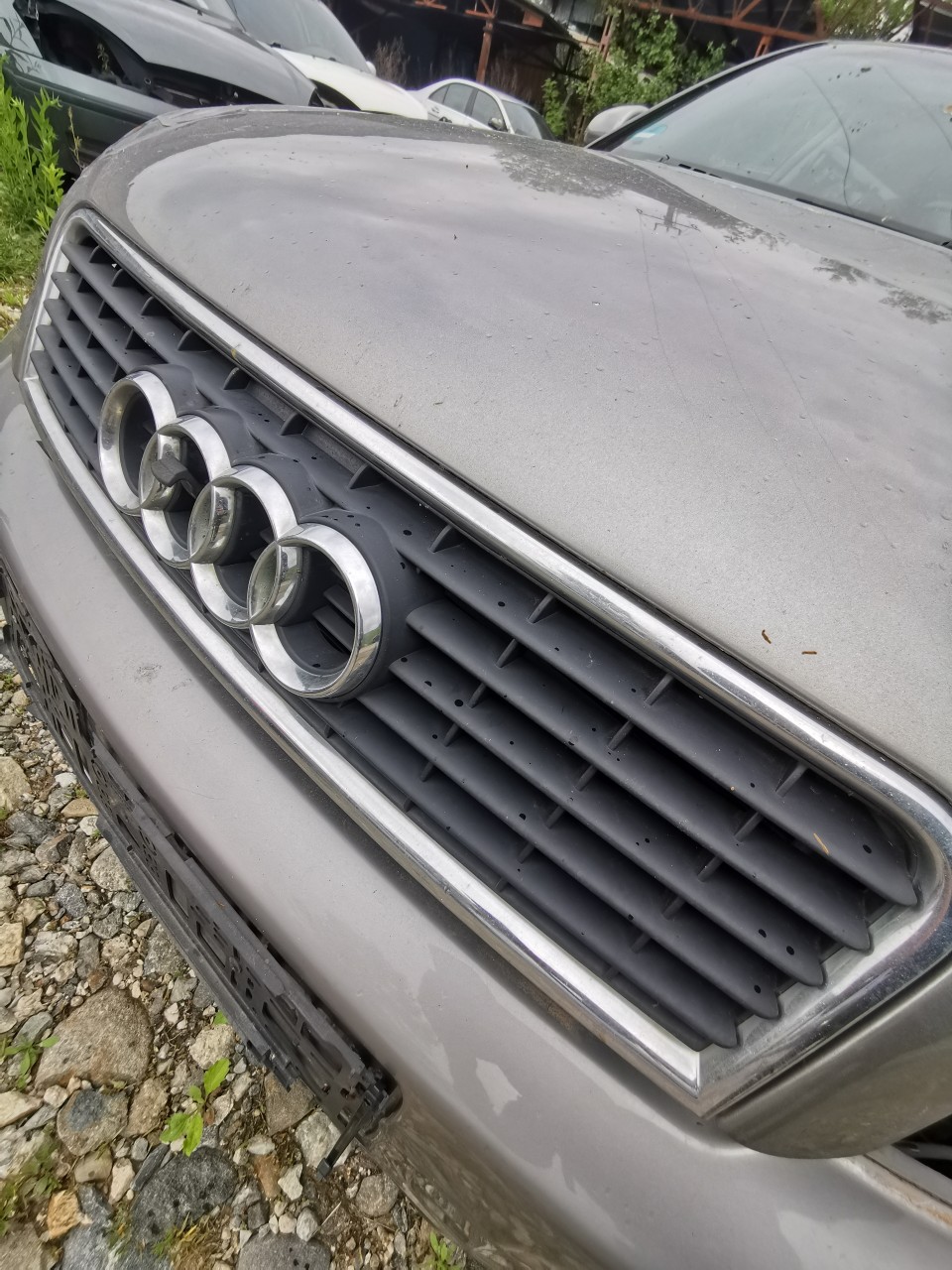 Grila capota Audi A4 B6 grila radiatoare