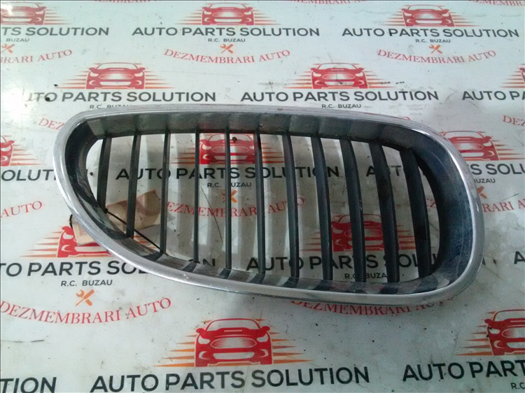 Grila capota dreapta BMW E 60 2.0 D an fabr. 2009