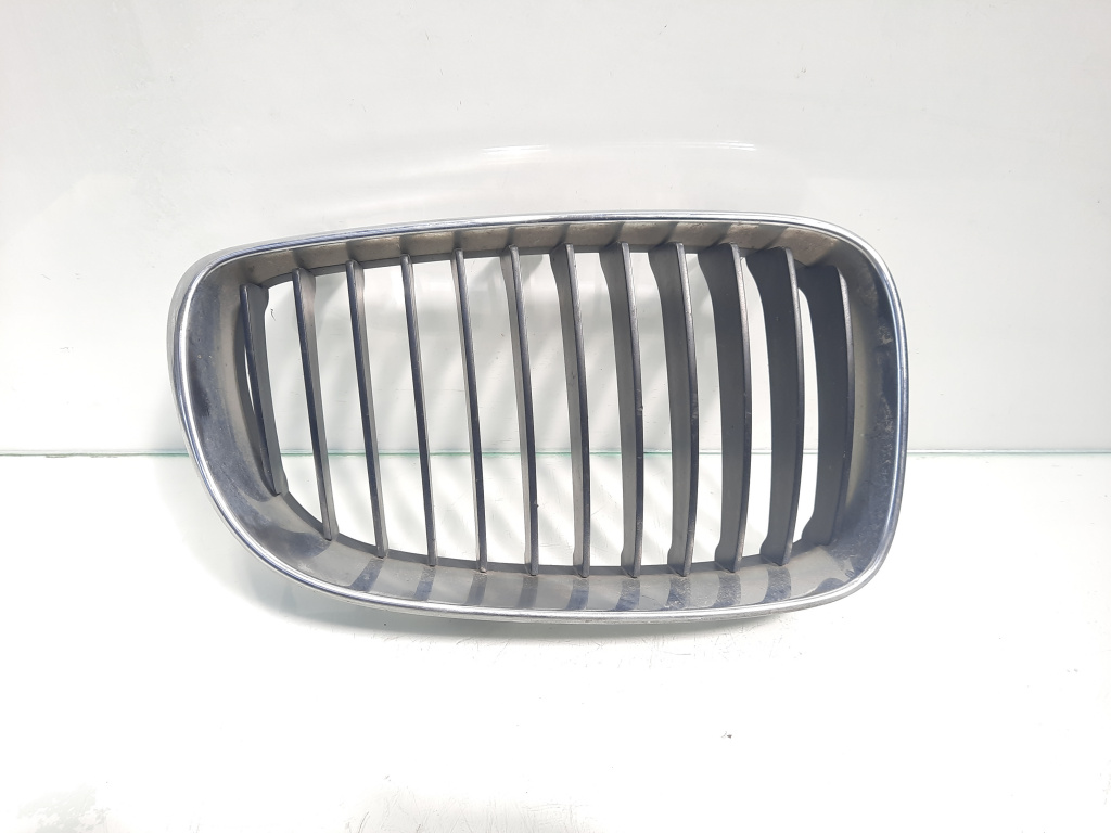 Grila capota fata, cod 7179656, Bmw 1 (E81, E87) (id:472980)