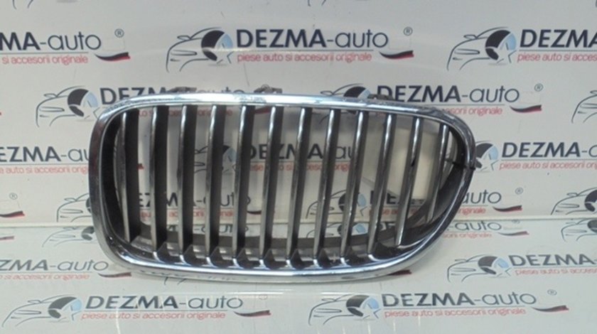 Grila capota fata stanga, Bmw 5 Touring (F11) (id:269897)