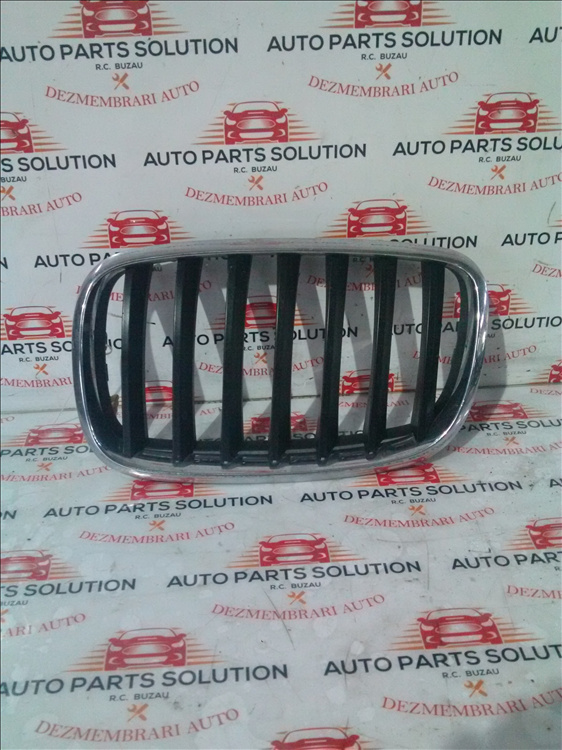 Grila capota stanga BMW X5 E70 an fabr. 2009