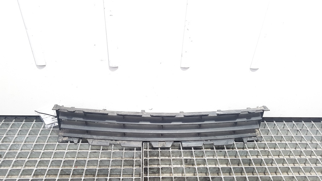 Grila centrala bara fata, Renault Megane 2 cod 8200114155 (id:368228)