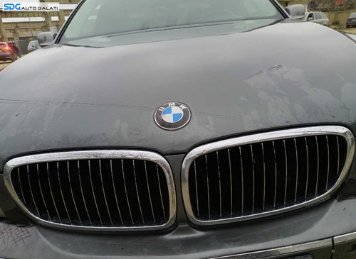 Grila Centrala cu Nara Nari Grile de pe Capota BMW Seria 7 E65 E66 730 Facelift 2005 - 2008