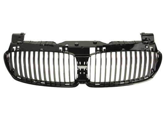Grila centrala (nari) radiator noua BMW Seria 7 E65/E66 dupa anul 2005.