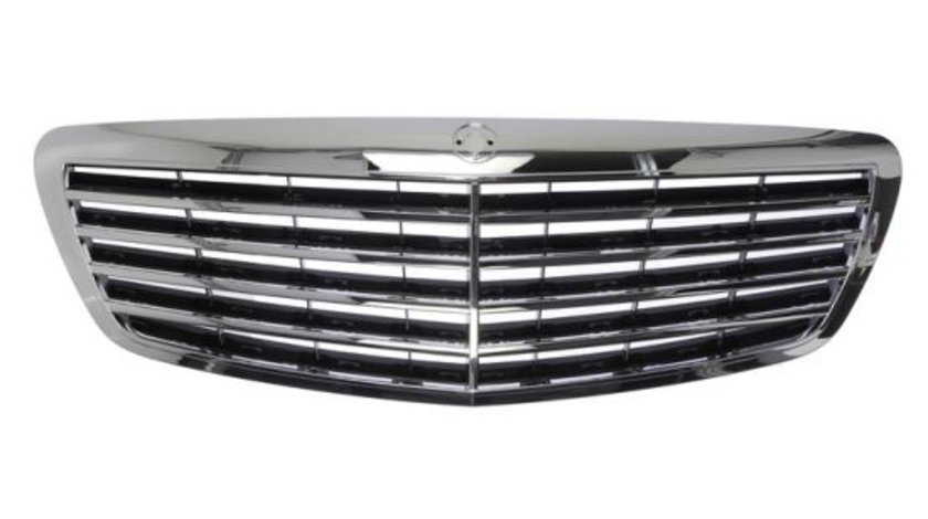 Grila centrala radiator Mercedes S Class W221