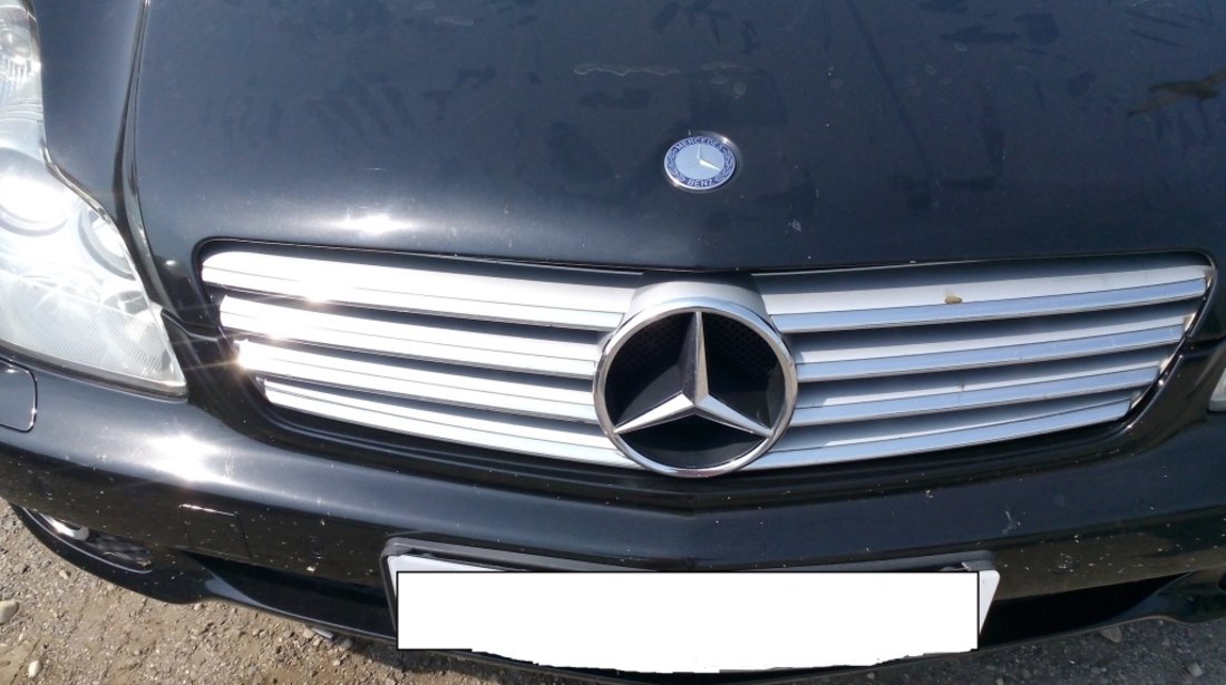 Grila Cu Emblema Mercedes W219 2004-2010