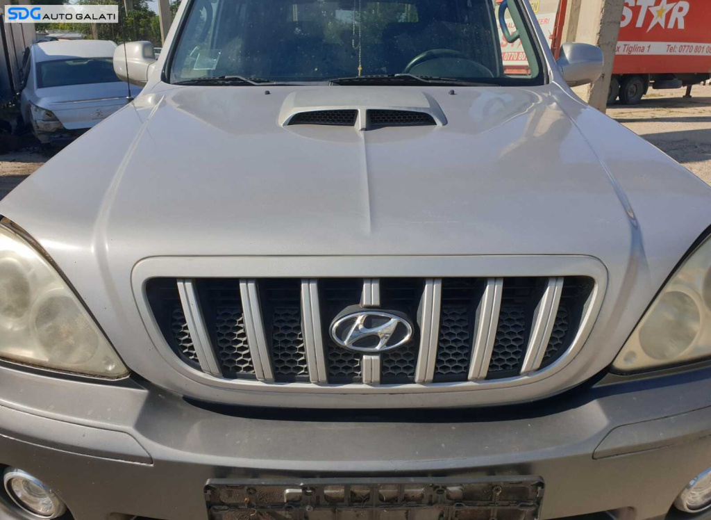 Grila cu Sigla Emblema de pe Capota Motor Hyundai Terracan 2001 - 2007 [C2726]