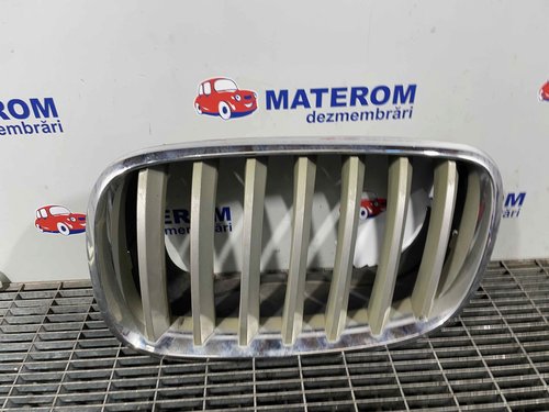 GRILA FATA BMW X5 - - (2007 2013)