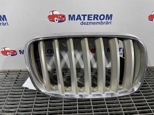 GRILA FATA BMW X5 X5 3.0 D - (2007 2013)