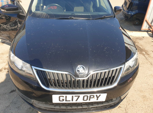 Grila Fata Radiator Skoda Rapid 2012 - 2017 [K4349]