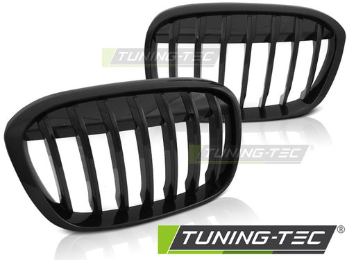 Grila Grile Negru Lucios compatibila BMW X1 F48 15-