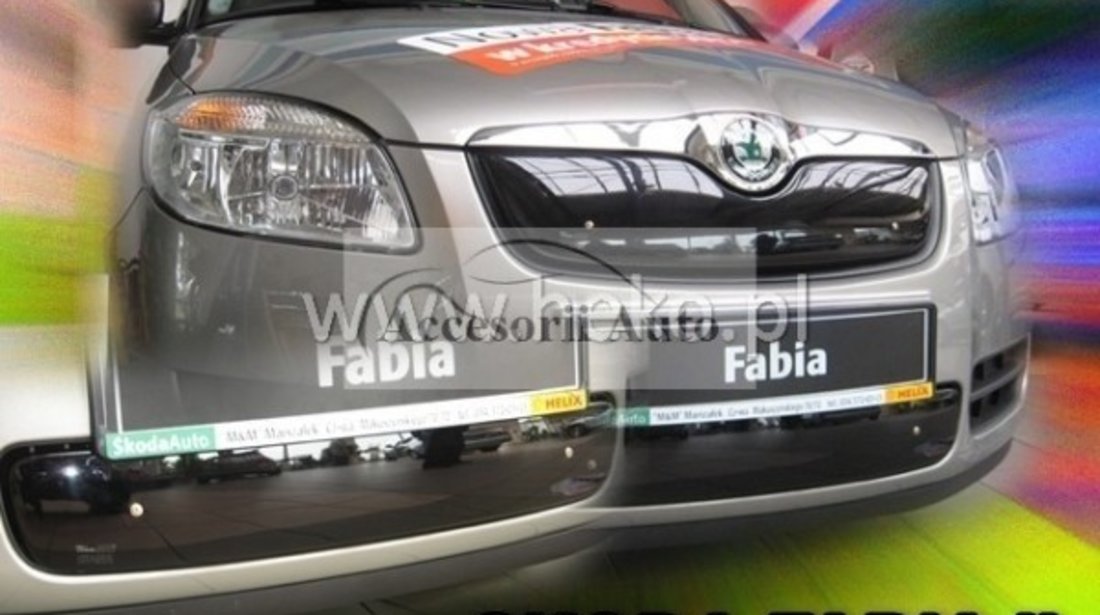 GRILA IARNA SKODA FABIA II (DOLNA) 5D 2007-2010R