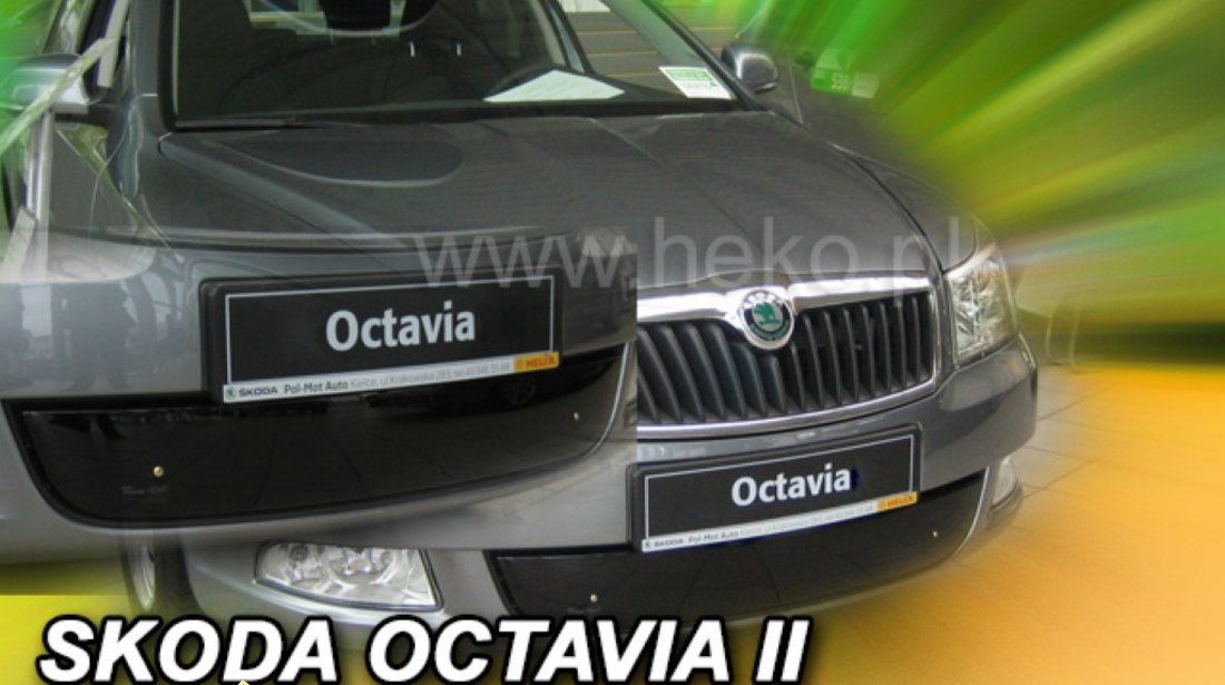 Grila iarna Skoda Octavia II 2007 2013