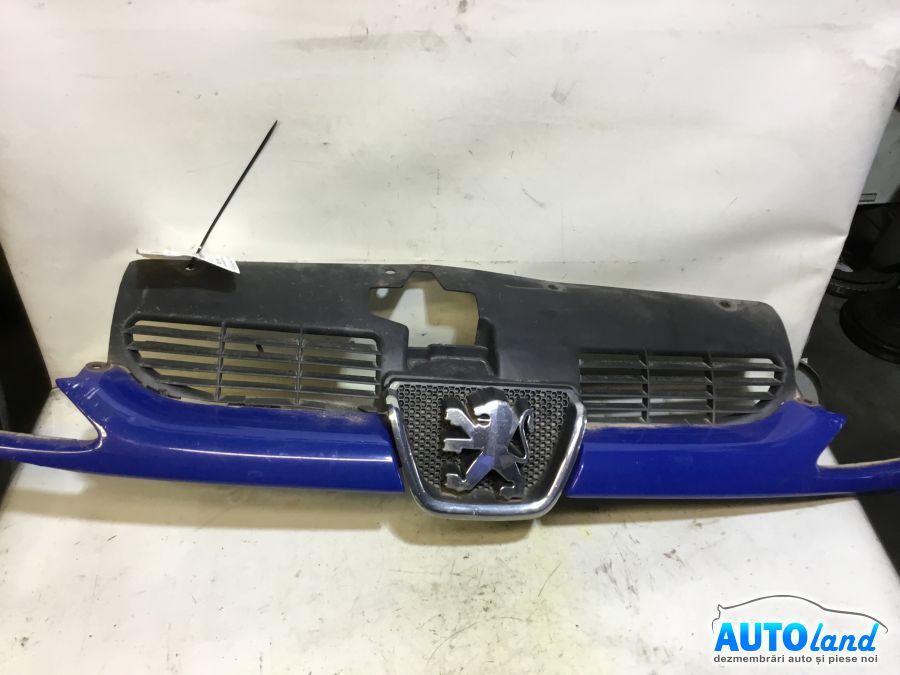 Grila Intre Faruri 9628691277 Peugeot 206 hatchback 2A/C 1998