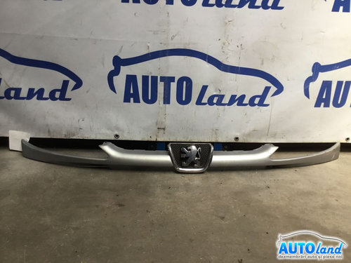 Grila Intre Faruri 9628691277 Peugeot 206 hatchback 2A/C 1998