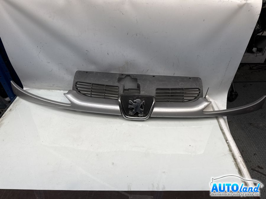 Grila Intre Faruri 9628691277 Peugeot 206 hatchback 2A/C 1998