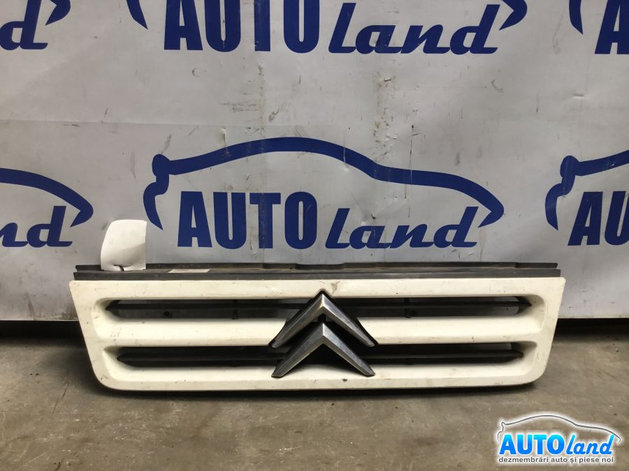 Grila Intre Faruri Citroen RELAY bus 244,Z 2002