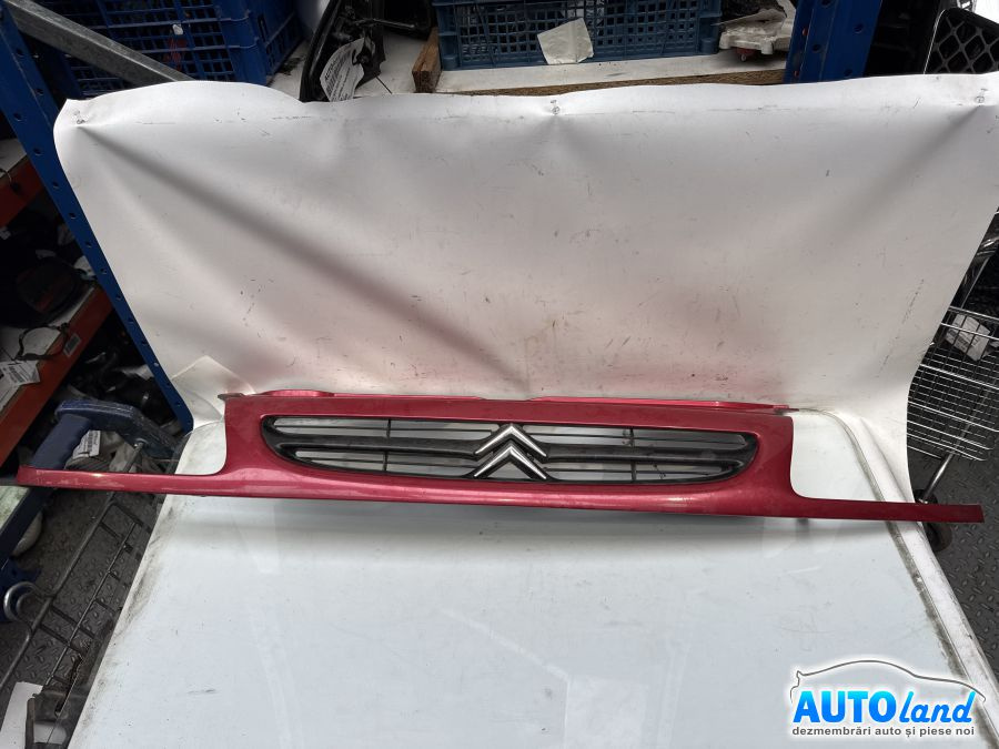 Grila Intre Faruri Citroen SAXO S0,S1 1996-2004