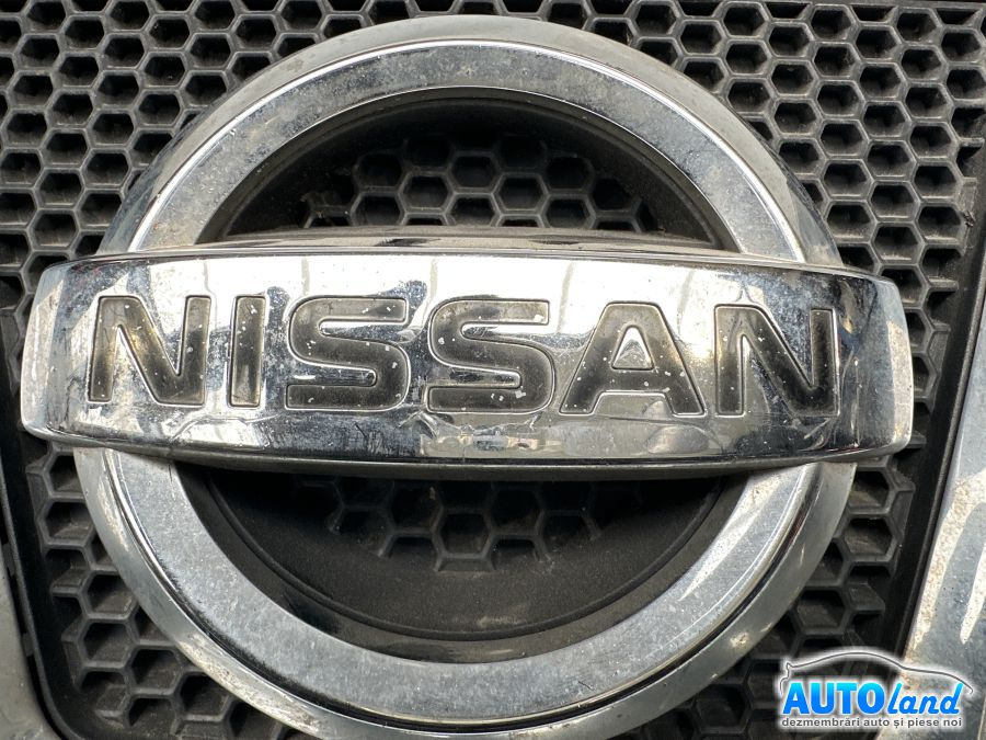 Grila Intre Faruri Doar Emblema Nissan QASHQAI J10,JJ10 2007