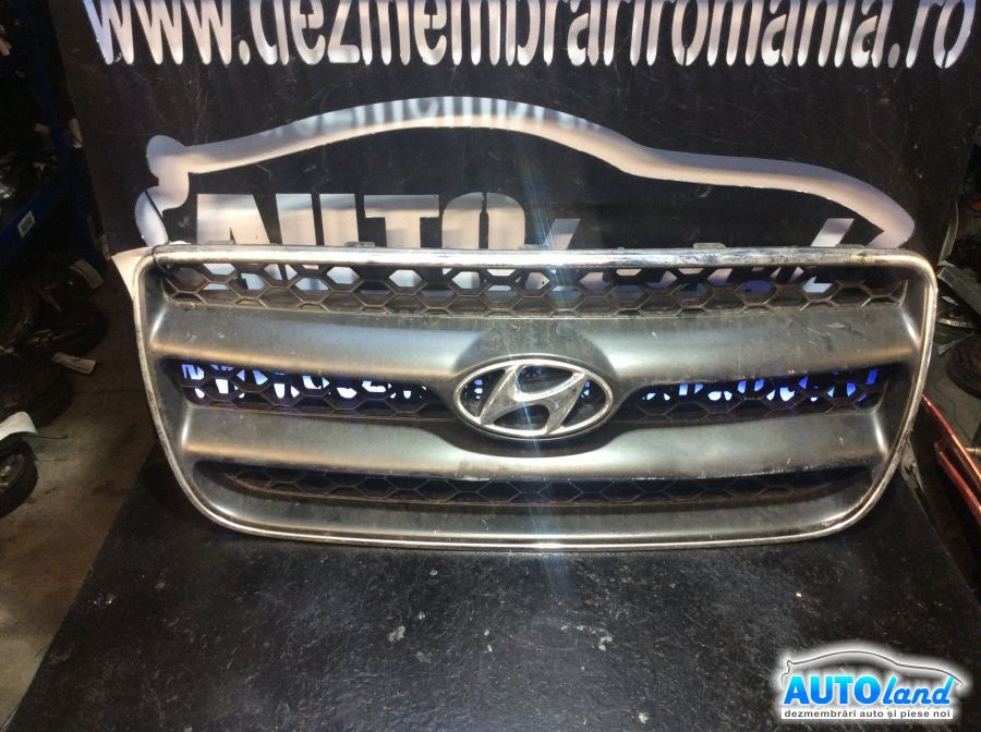 Grila Intre Faruri Hyundai SANTA FE CM 2006