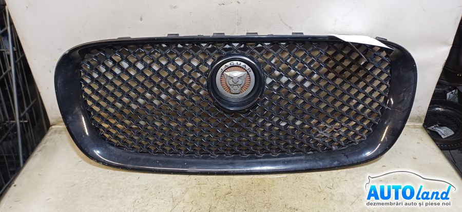 Grila Intre Faruri Jaguar XF 2008