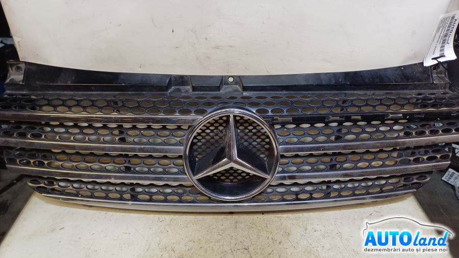 Grila Intre Faruri Mici Probleme Mercedes-Benz VIANO W639 2003