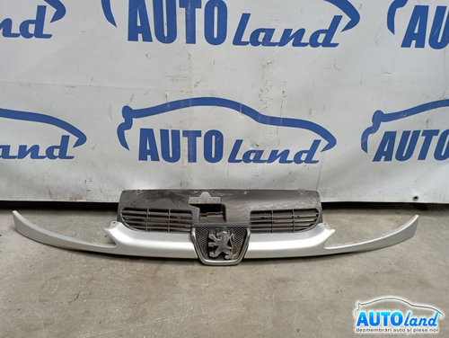 Grila Intre Faruri Peugeot 206 hatchback 2A/C 1998