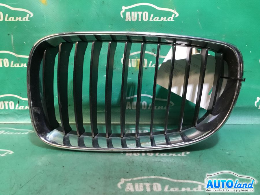 Grila Intre Faruri Stanga BMW 1 E81,E87 2004
