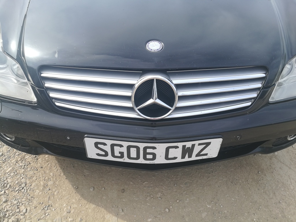 Grila Mercedes CLS W219