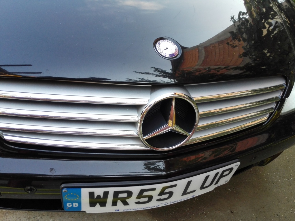 Grila Mercedes CLS W219