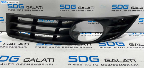 Grila Ornament Proiector Ceata Stanga Volkswagen Passat B6 2005 - 2010 Cod 3C0853665A [L4158]