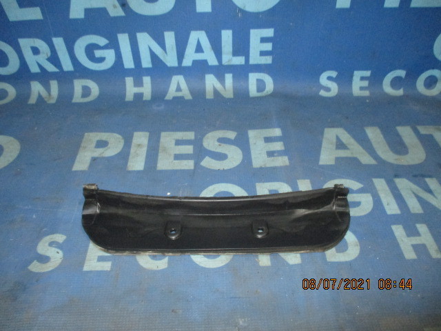 Grila parbriz BMW E71 X6 2011