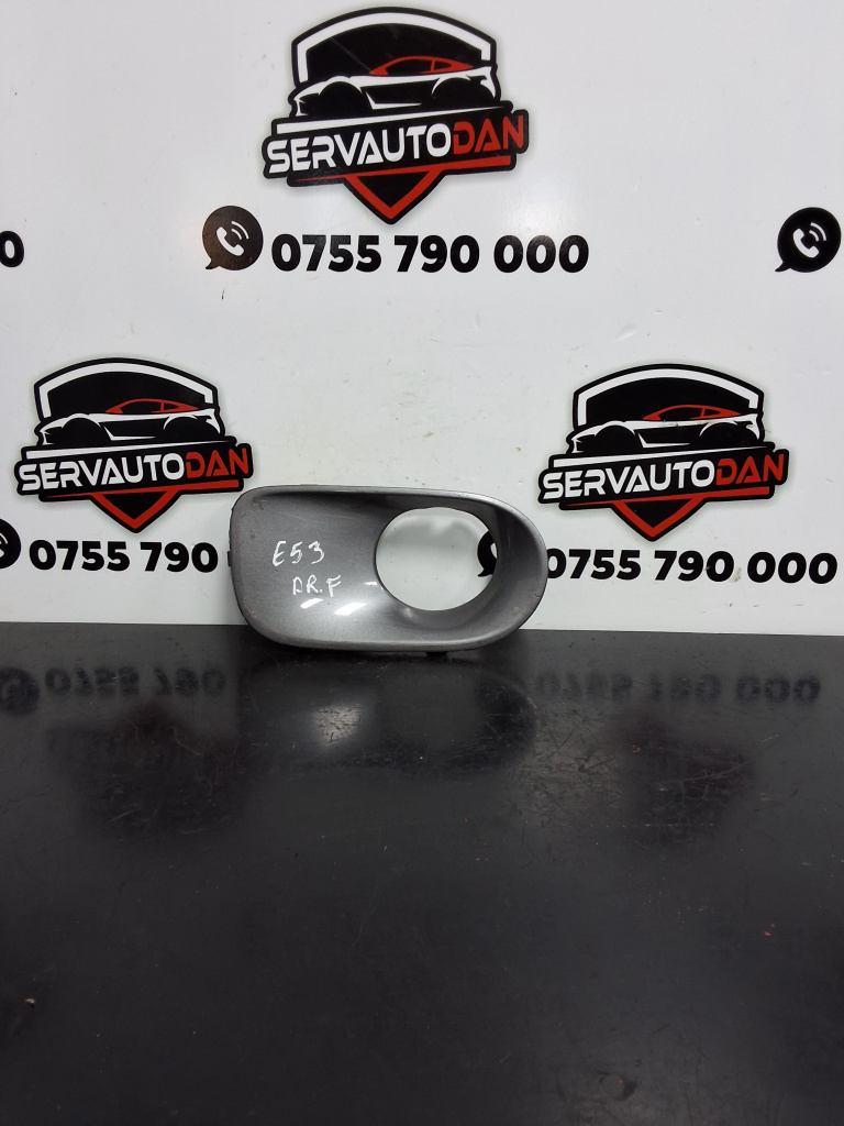 Grila proiector dreapta BMW X5 (1999-2006) [E53] 3.0 Motorina 2006, -