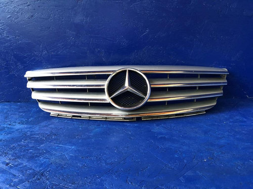Grila radiatoare Mercedes B Class W245 2005-2008