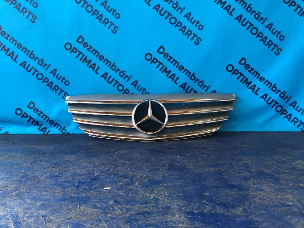 Grila radiatoare Mercedes B Class W245 2006