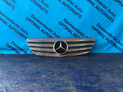 Grila radiatoare Mercedes B Class W245 2006