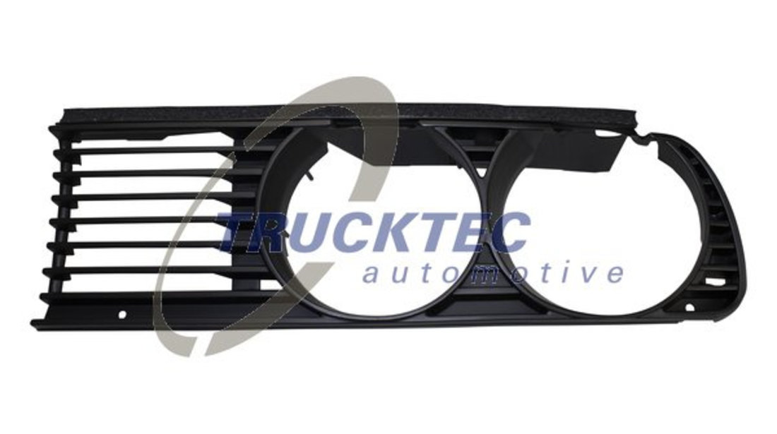 Grila radiator (0862213 TRUCKTEC) BMW