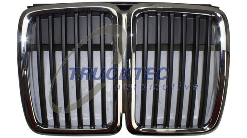 Grila radiator (0862237 TRUCKTEC) BMW