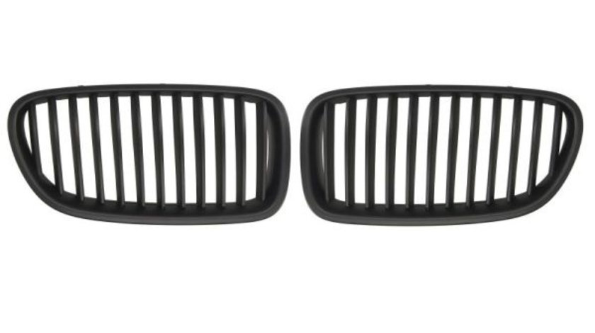 Grila radiator (6502070067991KP BLIC) BMW