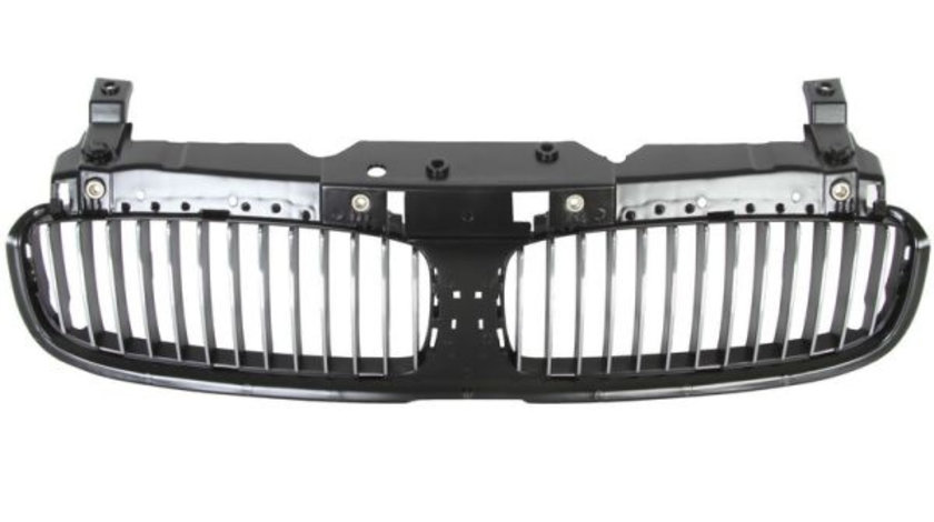 Grila radiator (6502070076991P BLIC) BMW