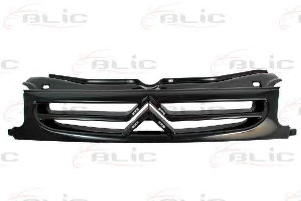 Grila radiator (6502070550993P BLIC) Citroen