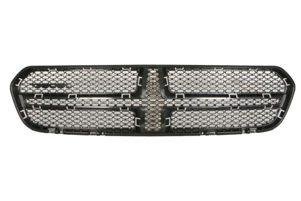 Grila radiator (6502070926990P BLIC)