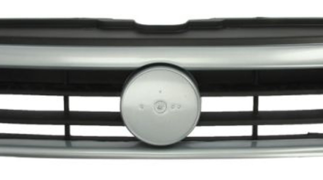 Grila radiator (6502072093990P BLIC) FIAT