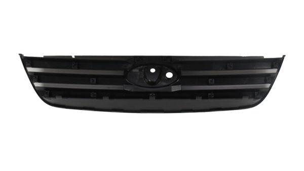 Grila radiator (6502072507992P BLIC) FORD