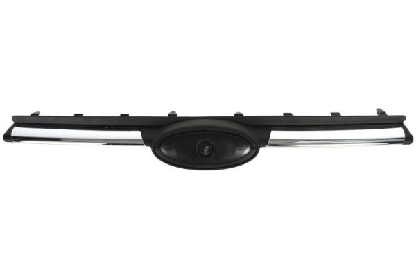 Grila radiator (6502072508991P BLIC) FORD
