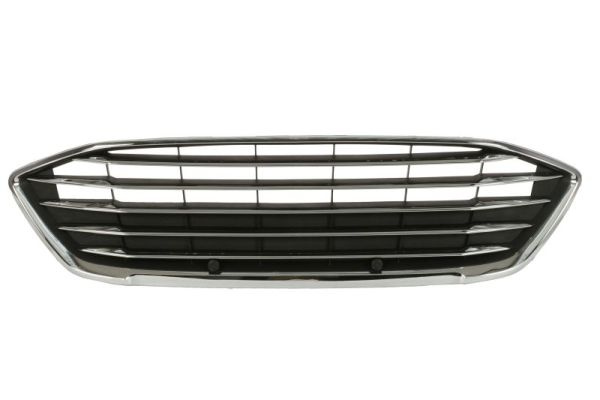 Grila radiator (6502072537991P BLIC) FORD