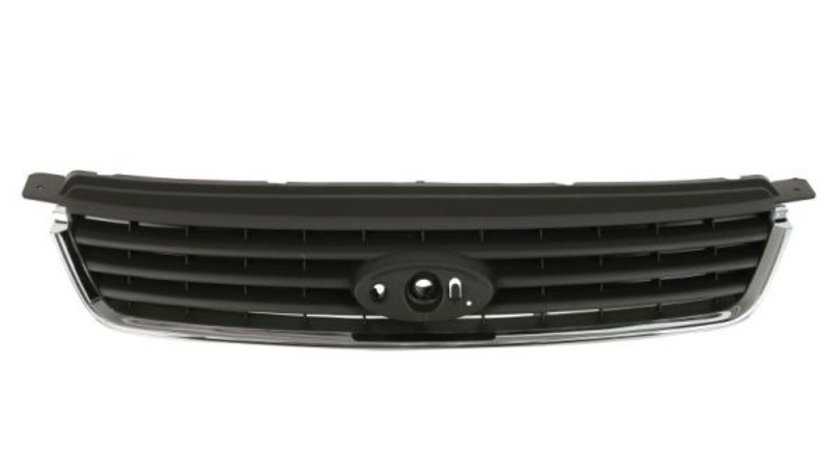 Grila radiator (6502072578990P BLIC) FORD