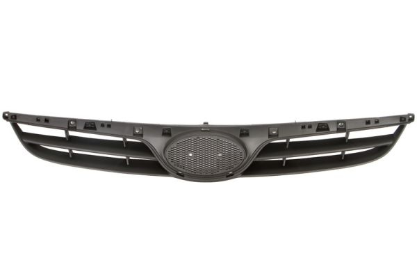 Grila radiator (6502073128990P BLIC) HYUNDAI