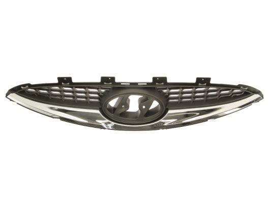 Grila radiator (6502073129990P BLIC) HYUNDAI